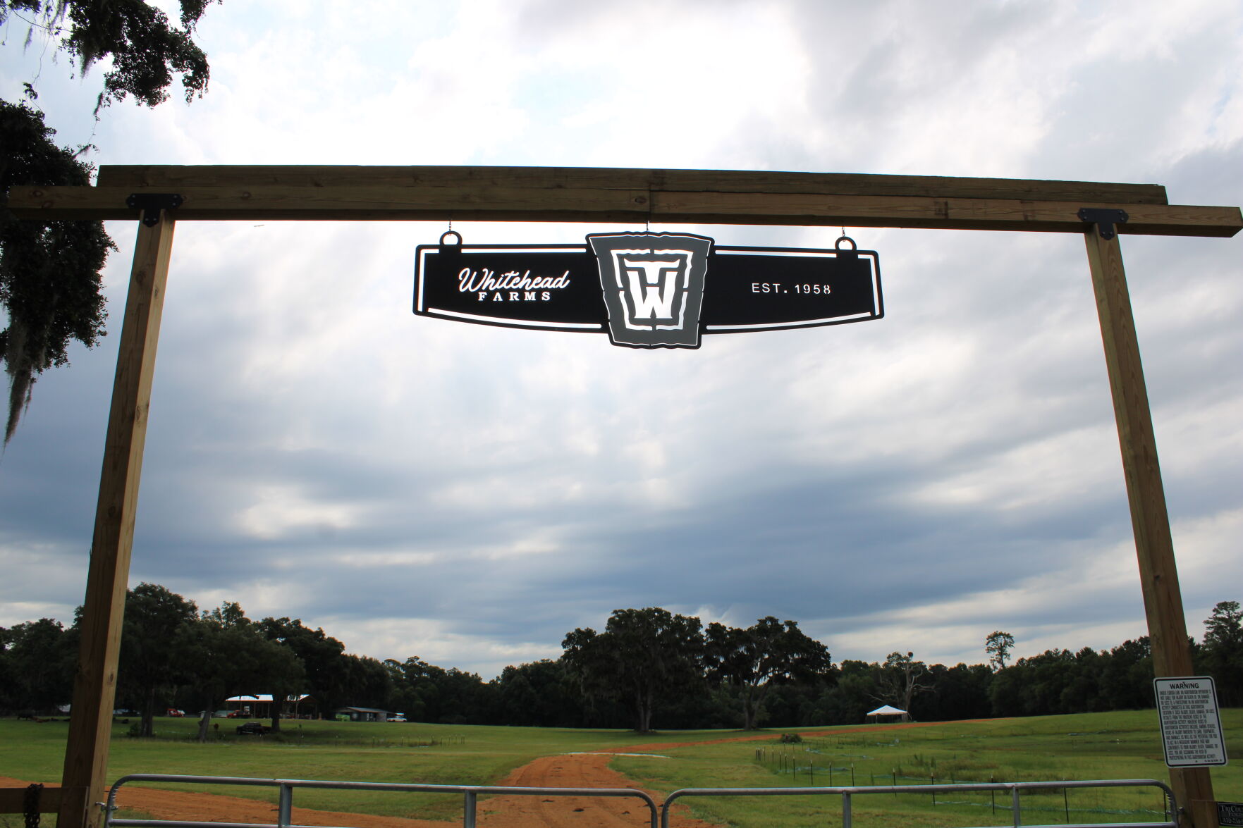 HT-WHITEHEAD6-0629.JPG